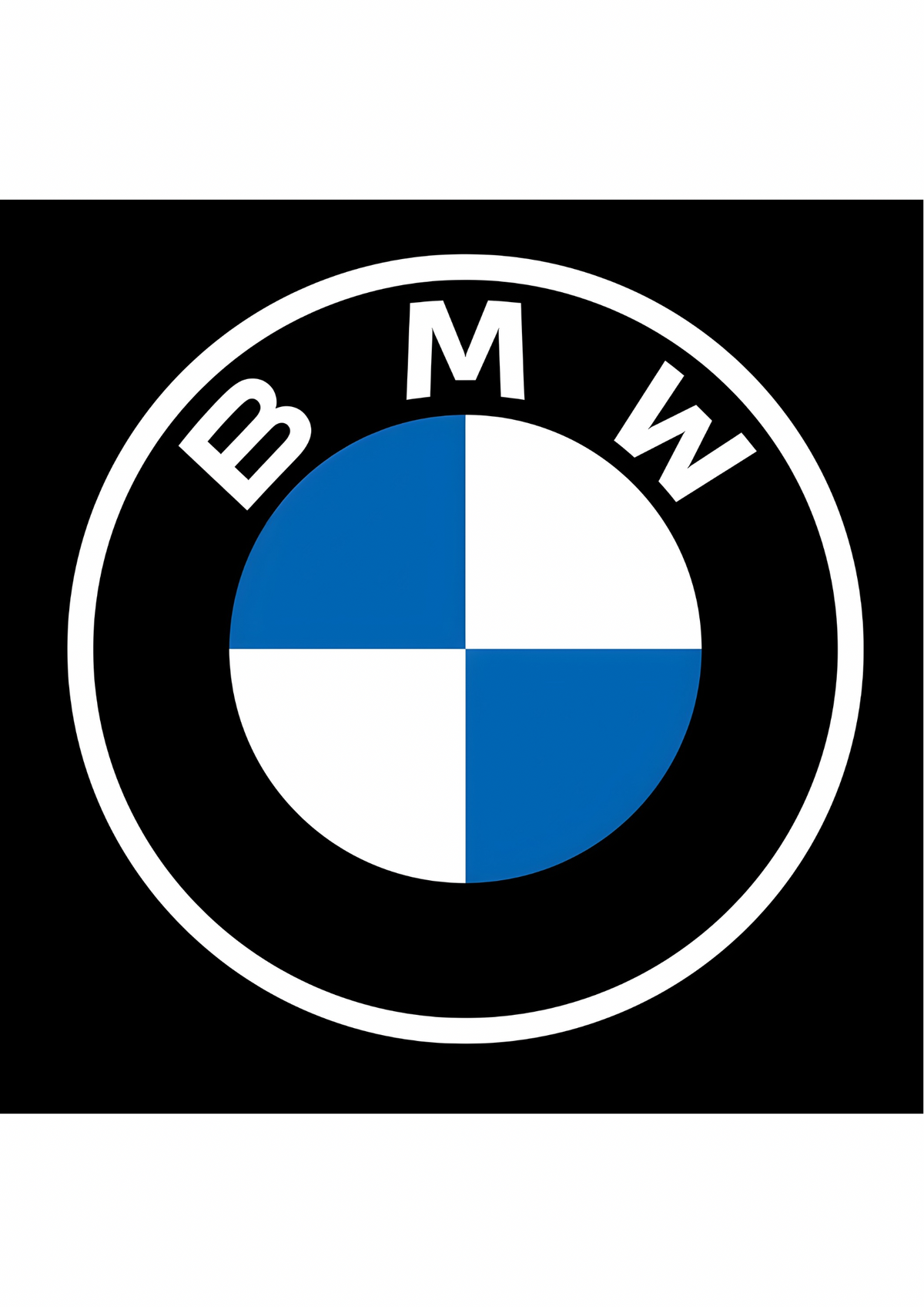 BMW X1 Carbon Fiber