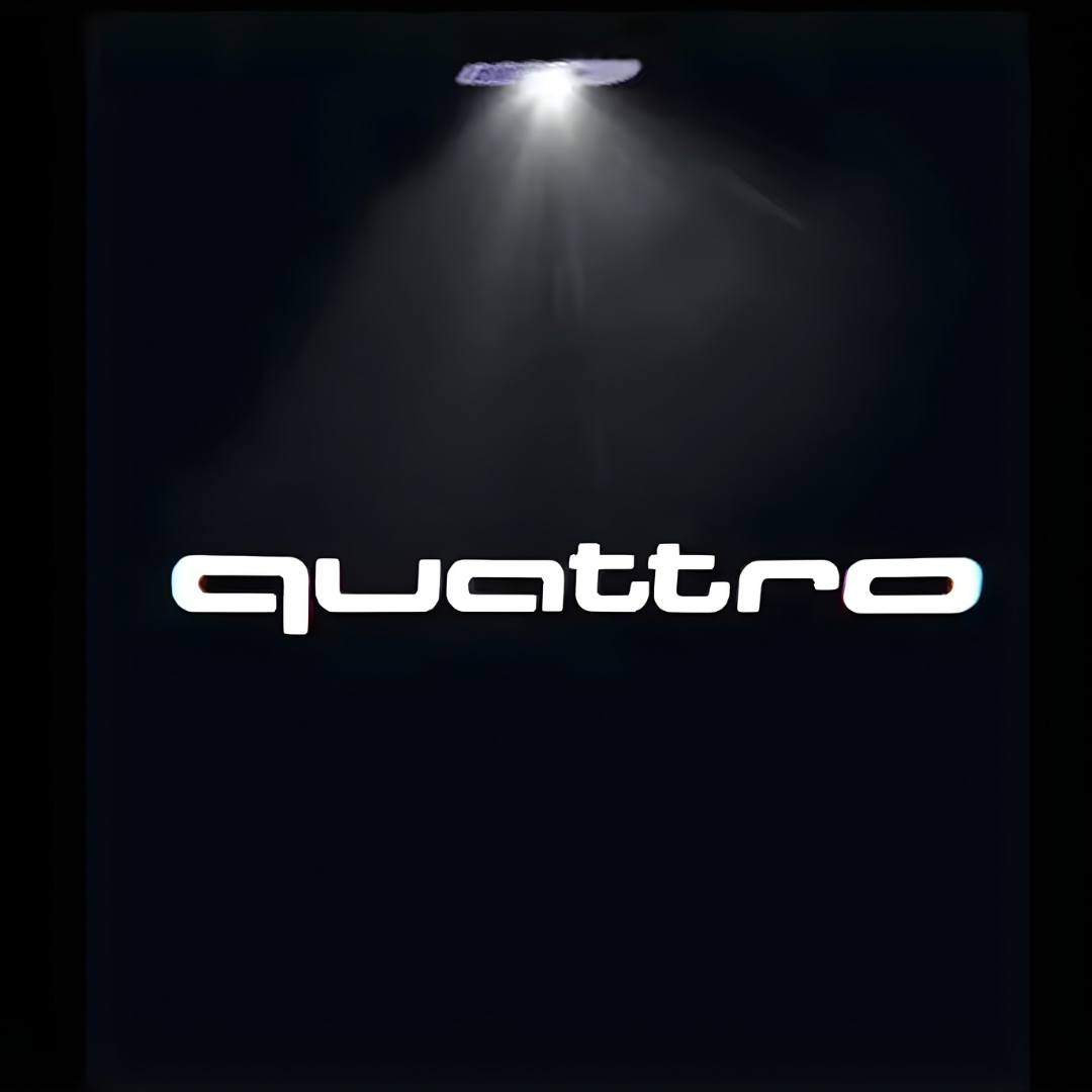 AUDI DOOR WELCOME LIGHTS