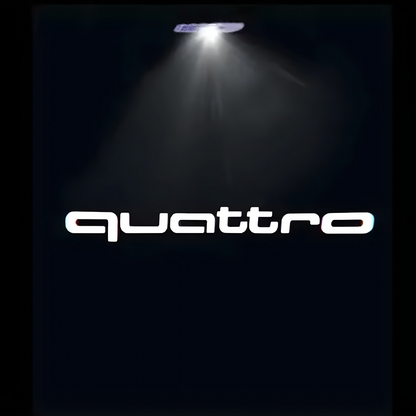 AUDI DOOR WELCOME LIGHTS