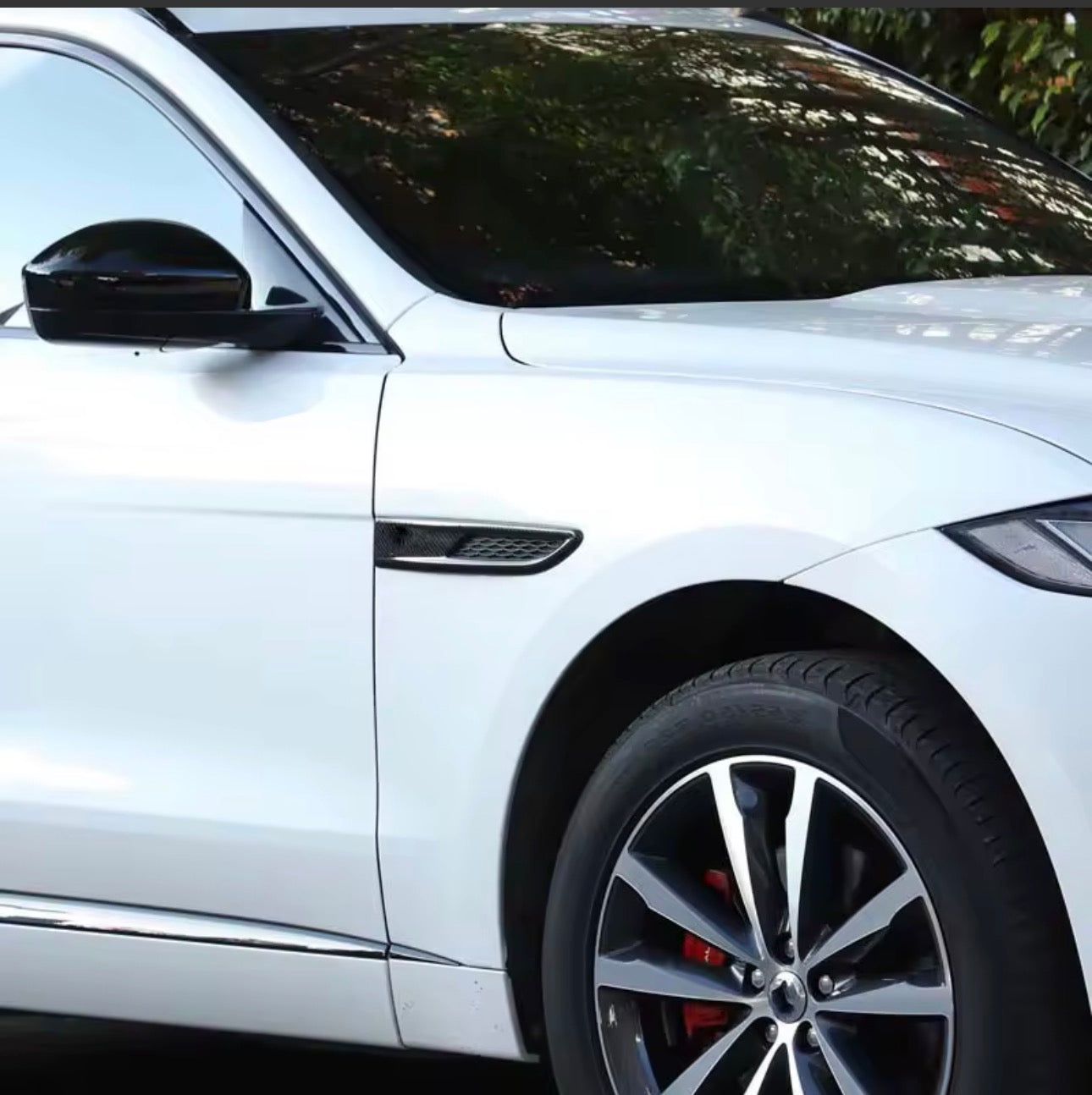 Jaguar Gloss Black/ Carbon Fiber Side Panel Trim